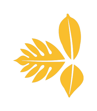 Finca Tierra Negra